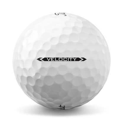 T8026S_02_d0c8b4ad-a1e6-413c-82ba-7512cbd8a78f.png